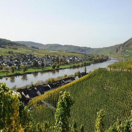 Sch Ne Wohnung In Der Moselregion Kinheim エクステリア 写真
