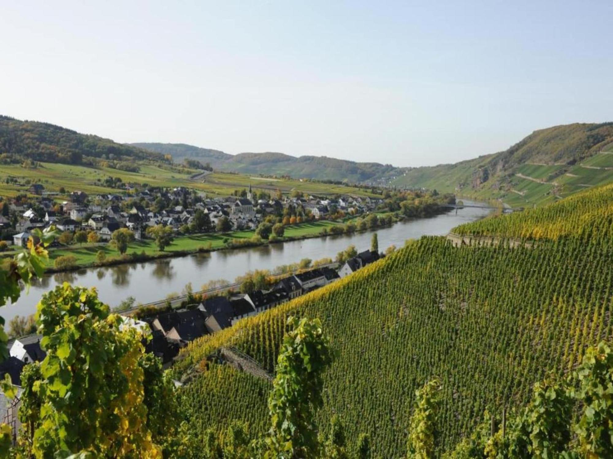 Sch Ne Wohnung In Der Moselregion Kinheim エクステリア 写真