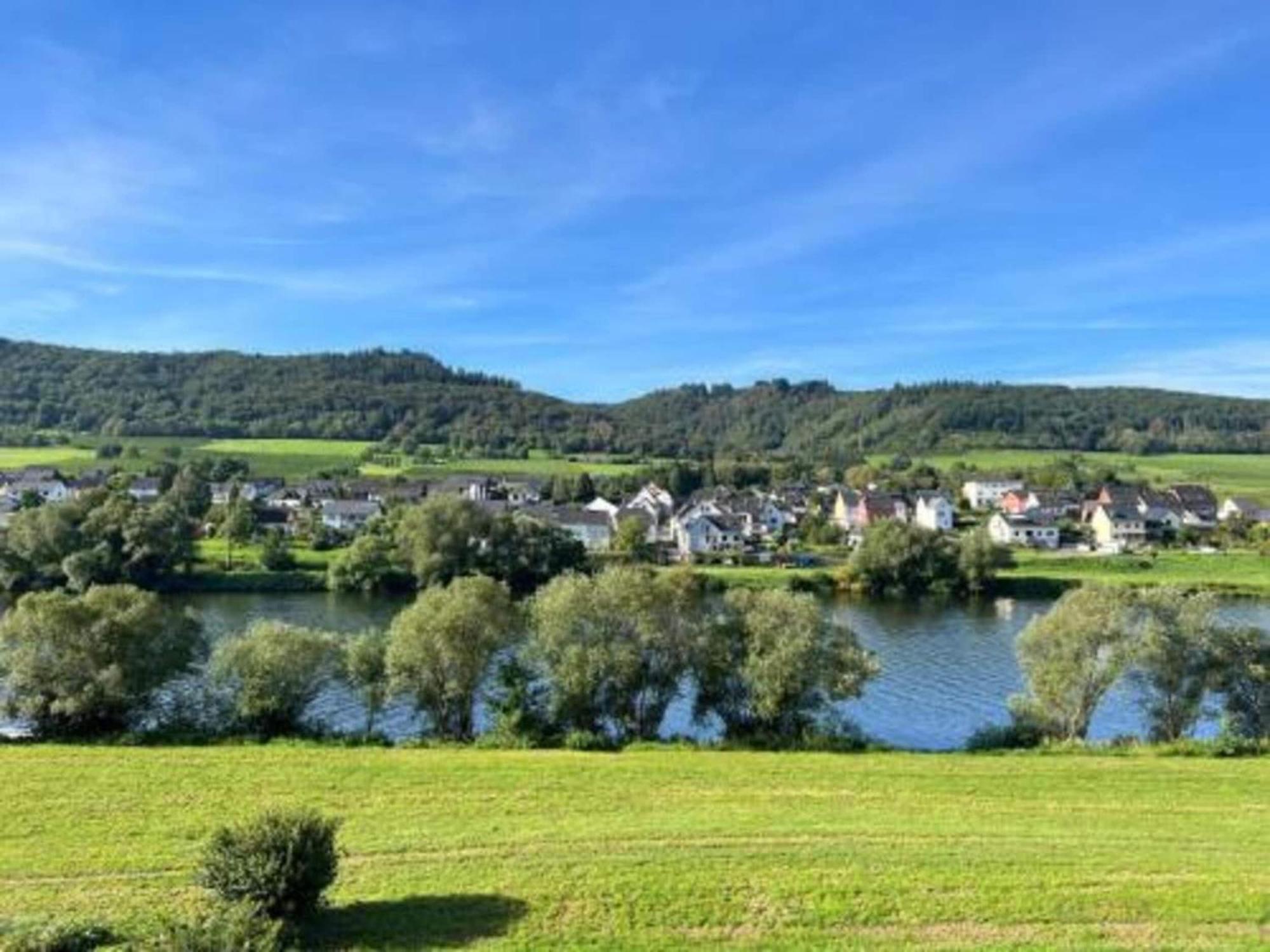 Sch Ne Wohnung In Der Moselregion Kinheim エクステリア 写真