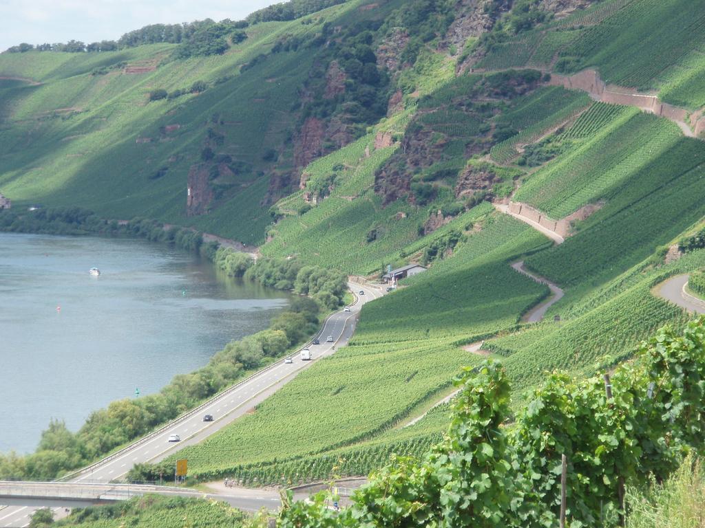 Sch Ne Wohnung In Der Moselregion Kinheim エクステリア 写真