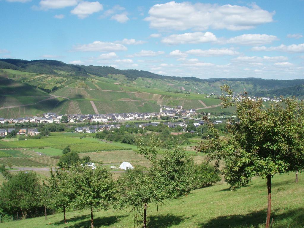 Sch Ne Wohnung In Der Moselregion Kinheim エクステリア 写真