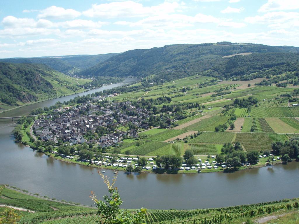 Sch Ne Wohnung In Der Moselregion Kinheim エクステリア 写真